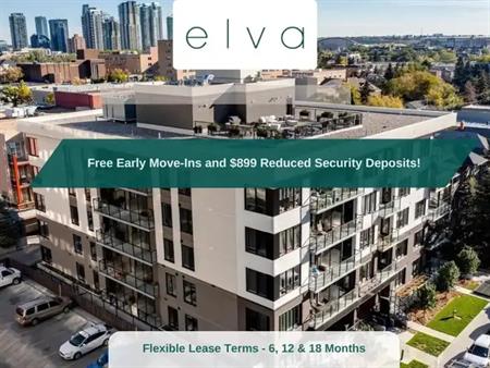 Elva | 320 25 Ave SW, Calgary