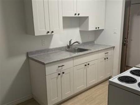 LARGE 1 BEDROOM NEAR HIGHGATE VILLAGE, BURNABY