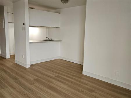 1 CH - 1 SDB - Montréal - $1,295 /mo