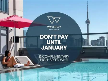 Waverley | 484 Spadina Ave, Toronto