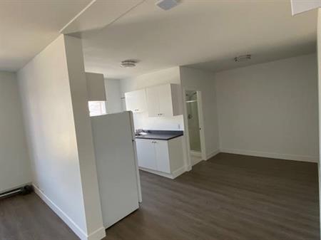 1 Bed- Renovated- Downtown Chilliwack(District 1881)