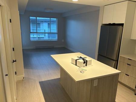 1bd 1ba brand new condo