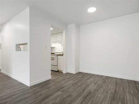 Condo Quality, Spacious 1 Bed/1 Bath+ 1 Den Suite, Available Dec 1st!