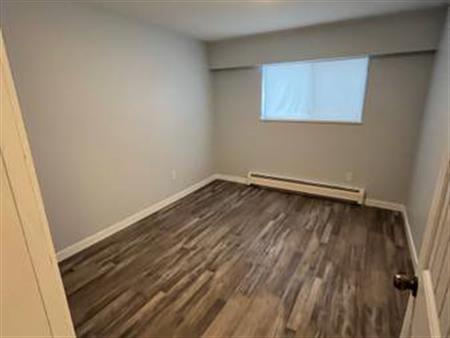 Renovated two bedroom one bath basement