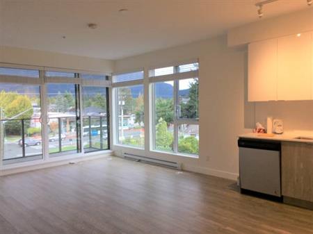 2 bedroom + 2 bathroom apt downtown Squamish