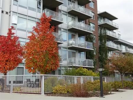 Furnished Luxurious 1 Bdrm Condo - Regent Century Park for Rent | 610 - 2612 109 St NW, Edmonton