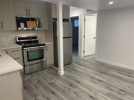 Gorgeous 2 bedroom brand new basement suite in Cranston | 78 Cranford Gardens Southeast, Calgary