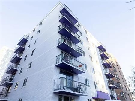 Willmax Apartments | 1212 13 Avenue SW, Calgary