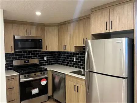 Pet Friendly New Basement Suite For Rent | 15322 95 Avenue Northwest, Edmonton