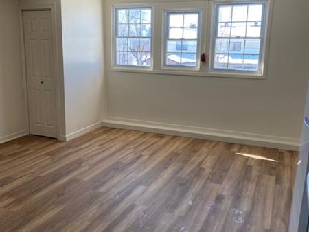 Carleton Place Available December 1st, Bachelor apartment plus Den, Large Bright apartment | 226 Bridge Street, Carleton Plac