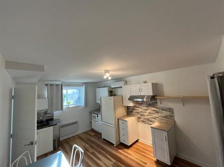 Logement 3 1/2 Montréal pointe aux trembles