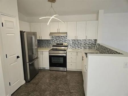 FULLY RENOVATED, MAIN FLOOR, 2 BEDROOMS AND 4 PIECE FULL BATH | 25 Martinvalley Road Northeast, Calgary