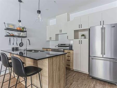 MAGNIFIQUE APPARTEMENT À LOUER À JOLIETTE - JANVIER