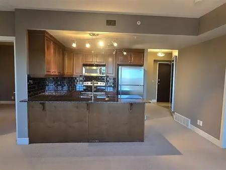 2 bedroom 2 bath condo available September 1 | 1004 - 920 5 Avenue Southwest, Calgary