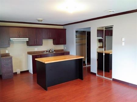Beau grand 3 1/2 Récent STYLE CONDO Sur Boul. Thibeau 1 juillet 2025