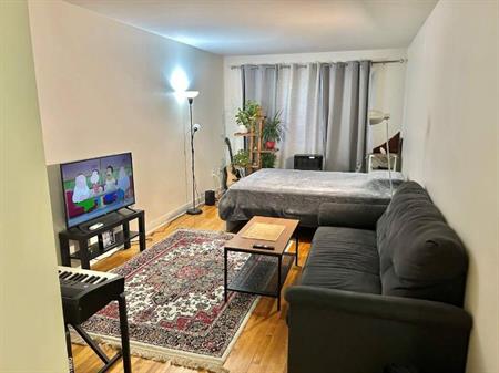 Studio - Montréal - $1,195 /mo