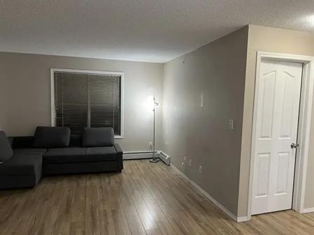 2 bed, 2 bath, specious, corner unit condo. | Calgary