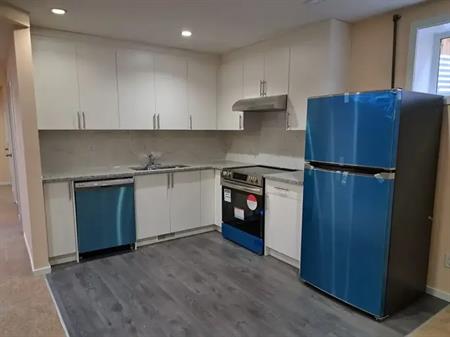 Spacious 1 Bed 1 Bath Basement in Chaparral with 900sqft of living space | Calgary