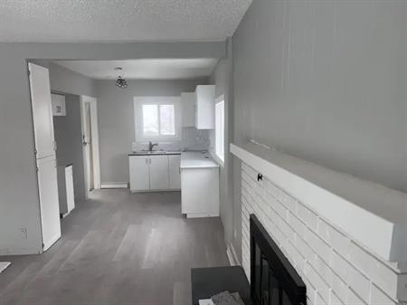 Newly renovated, clean 2 Bedroom up 1 bedroom basement house perfect inner city | 2517 14 Avenue Southeast, Calgary