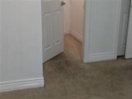 1 bed room basement for rent