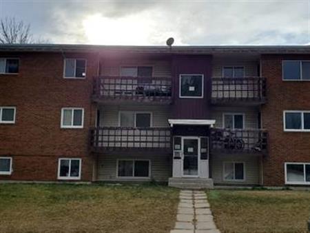 3 Bedrooms,large apartment! Amazing Location! Close to U of C!