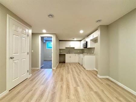 Brand-new private entry basement for rent