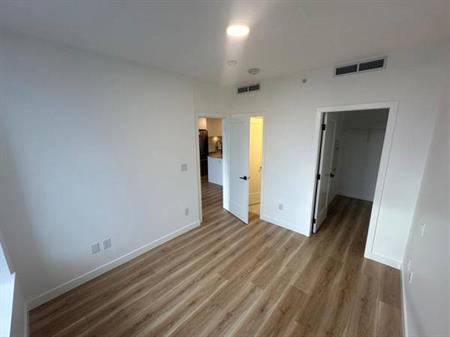 Pet Friendly BRAND NEW apartment at Willoughby neighborhood for rent