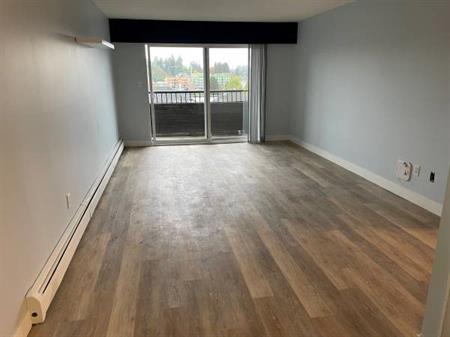 1 BR newly renovated condo