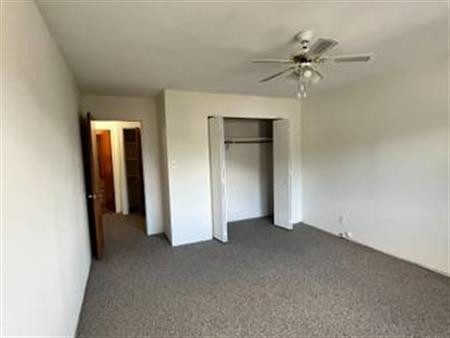 1 Bedroom @ Irene Apartments - AVAILABLE NOW!