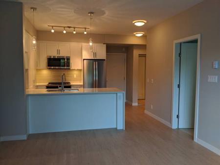 ✨ Modern 1-Bedroom Condo for Rent – Available Jan 1, 2025! ✨