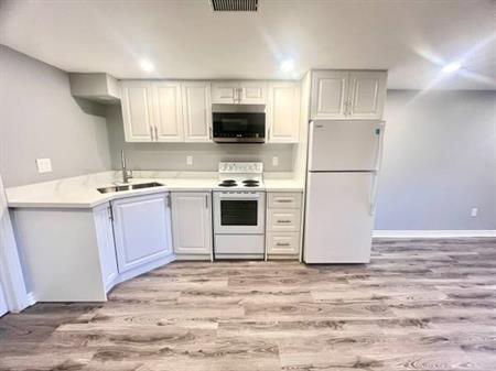 Newly Renovated 1-Bedroom