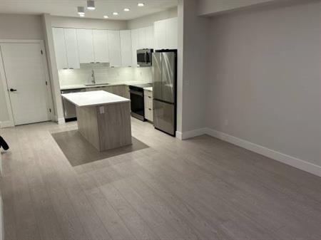 BRAND NEW 1 Bed +Den. Pets Welcome!