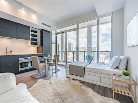 Elegant 1 Bed, 1 Bath with City Views and Private Entrance plus Air Co