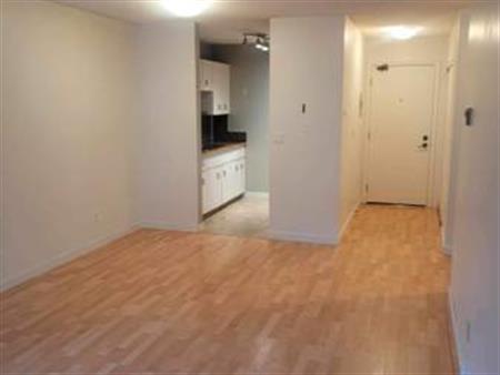 1 bed 1 bath apartment for rent