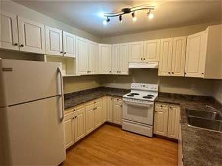 2 Bedroom Basement Suite (WILTSE)