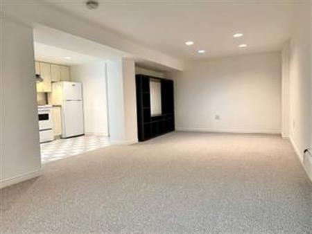 Beautiful Bright Basement: Dufferin Grove