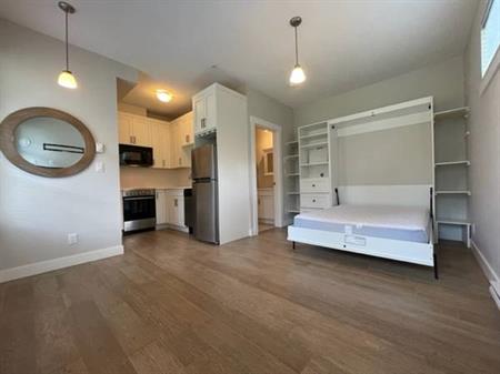 Tiny Condo Under 300SQFT / Murphy Bed Included / Single Occupant Only