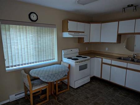 1 Bedroom Lower level suite available December 1st