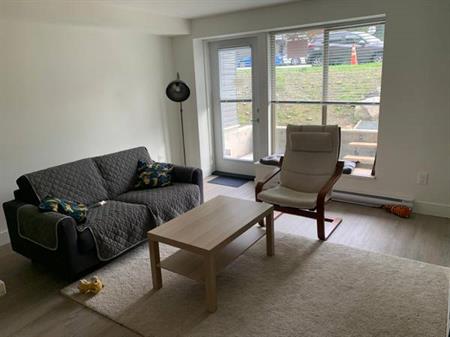 1 Bed / 1 Bath + Den Apartment in New Westminster – Pet-Friend