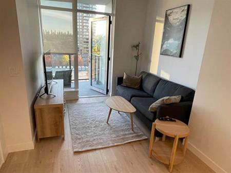 Beautiful 1 bdr apartment in Burnaby - Jan 1, EV parking space