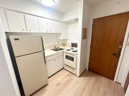 Studio / Junior 1 Bedroom Apartment in North Burnaby