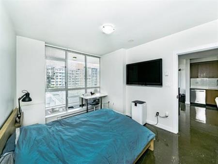 DOWNTOWN VANCOUVER 2BED 1Bath + Parking and Furnished Pet ok August 01