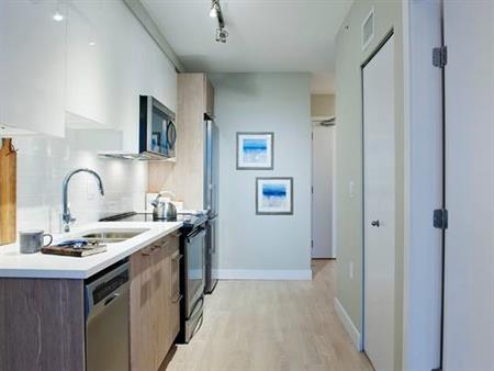 Elegant and Cozy One Bedroom on 23rd Floor - $1000 CASH BACK