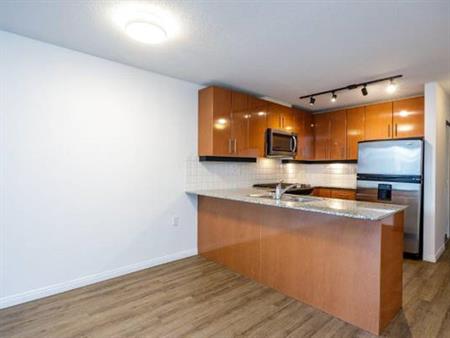 Executive 1 bed 1 bath + large flex w A/C Parking Storage Laundry