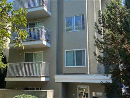 Bright 2nd Flr, 1bdrm w/balcony, in-unit laundry, You should live here