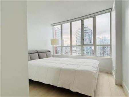 Move in Jan 1 - Renovated & Furnished 1 bed + 1 bath near Penthouse!