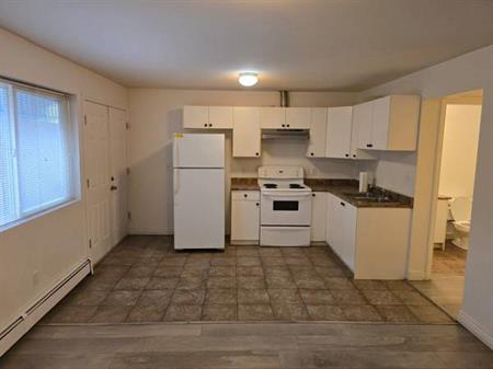 2 bedroom basement suite including laundry/utilities