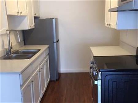 Large 2 bedroom 1 bath apartment