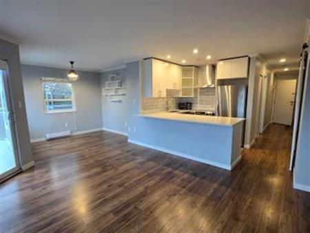 Renovated 2 beds 1.5 baths in Mount Pleasant East