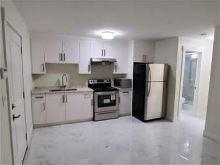 1 br basement suite